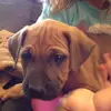 Ursula_Mitchell - @ursula_mitchell - TikTok