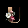 Ursula Mitchell-Thomas - @umitch724 - TikTok