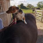 Ursula Morrow - Facebook