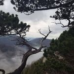 Ursula Moser - @ursimoos - Instagram