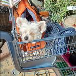 Ursula Moser - @ursulamoser53 - Instagram
