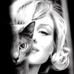 Ursula Moser - @leelee5811 - Instagram