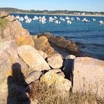 Ursula Neumann - @ursula3380 - Instagram