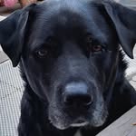 Ursula Neumann - @neumannursula51 - Instagram