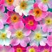 Ursula O Brien - Facebook