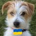 Ursula Olsson - Facebook
