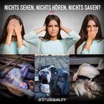 Uschi Ott - Facebook