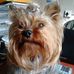 Ursula Otto - Facebook