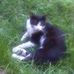 Ursula Pennington - Facebook