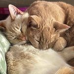 Ursula Perry - @ursulaperry - Instagram