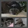 Ursula Spike - @ursula.spike - TikTok