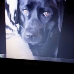 Jean-ursula Powell - @jeanursulapowell - Instagram