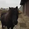 Ursula power - @ursulapower - TikTok