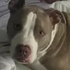 Ursula Powers - @ursulapowers - TikTok