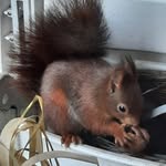 Ursula Richter - @ursularichter29 - Instagram