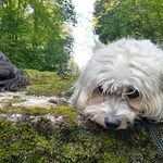 Ursula Richter - @uschi.richter69 - Instagram