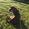 Ursula Schultz - @g4sp1_423 - TikTok