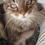 Ursula Schwartz - @schwartzursula - Instagram