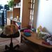 Ursula Simon - Facebook