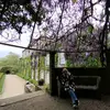 ursula simon - @ursulasf83 - TikTok
