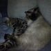 Ursula Simon - Facebook