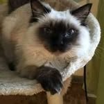 Ursula Simon - @uschi.simon1968 - Instagram
