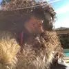 ursulabensimon - @ursulabensimon - TikTok