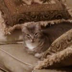 Ursula Turner - @ursula.turner.946 - Instagram
