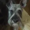 ursulavickermanri - @ursulavickermanri - TikTok