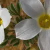 ursulaxvickys - @ursulaxvickys - TikTok