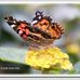 Ursula Wade - Facebook