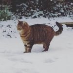 Ursula Walsh - @ursula.walsh - Instagram