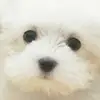 Ursula Watson - @ursula.watson93 - TikTok