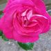 Ursula Weiss - Facebook