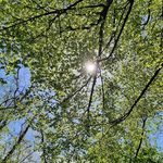 Ursula Weiß - @ursulaweiss49 - Instagram