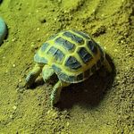 Ursula Wells - @turbo_ted_2022 - Instagram