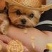 Ursula Wells - Facebook
