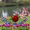 ursulahellwing - @ursulahellwing - TikTok