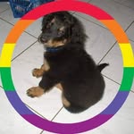 Ursula Wunderlich - @wunderlichursula - Instagram