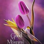 Urvashi Dave - @urvashi.dave.1232 - Instagram