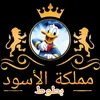 El doctor osama Amer - @usama.amer7 - TikTok