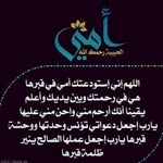 Usama Amer - @usama_3amer - Instagram