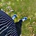 Usama Ashraf - Facebook