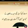 usama nazeer - @usama.nazeer6 - TikTok