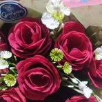 Usha Chaudhary - Facebook