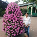 Usha Doshi - @ushadoshi11 - Instagram