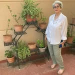Usha Khosla - @ushakhosla11 - Instagram