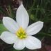 Usha rai - Facebook