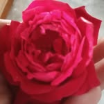 Usha Thaker - @ushathakr - Instagram