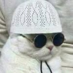 Usman Dar - @usman.dar.11 - Instagram